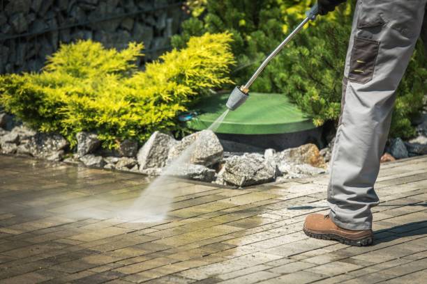 Best Fence Cleaning  in The Hills, NJ