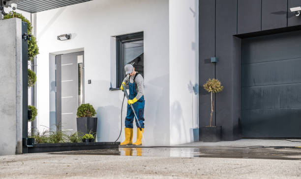 Best Paint Preparation  in The Hills, NJ